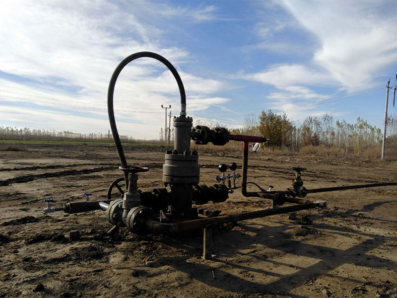 单螺杆泵在石油行业有哪些应用前景